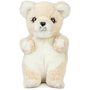 Keycraft Living Nature Baby Lion Cub Stuffed Animal Plush Toy Fluffy and Cuddly Safari Animal Soft Toy Gift for Newborns And Babies Naturli Eco-Friendly Keycraft Living Nature Baby Lion Cub Stuffed Animal Plush Toy Fluffy and Cuddly Safari Animal Soft Toy Gift for Newborns And Babies Naturli Eco-Friendly