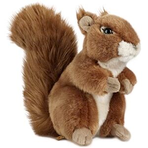 Keycraft Living Nature Squirrel Soft Toy – 17cm Realistic Cuddly Woodland Animal Plush – Stuffed Toy Gift for Kids & Nature Lovers Keycraft Living Nature Squirrel Soft Toy – 17cm Realistic Cuddly Woodland Animal Plush – Stuffed Toy Gift for Kids & Nature Lovers