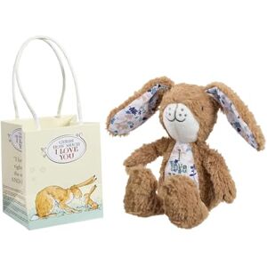 Rainbow Designs Guess How Much I Love You Hare Soft Baby Teddy with Floppy Ears & Beany Tummy Huggable Baby Soft Toy from Classic Children's Book Gentle Blue & Pink Plush Teddy Bear Rainbow Designs Guess How Much I Love You Hare Soft Baby Teddy with Floppy Ears & Beany Tummy Huggable Baby Soft Toy from Classic Children's Book Gentle Blue & Pink Plush Teddy Bear