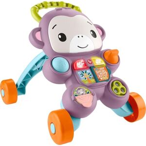 Fisher-Price Baby Push Toy Learn with Me Purple Monkey Walker Musical Learning Activity with Lights for Infants Ages 6+ Months, JLD58 Fisher-Price Baby Push Toy Learn with Me Purple Monkey Walker Musical Learning Activity with Lights for Infants Ages 6+ Months, JLD58