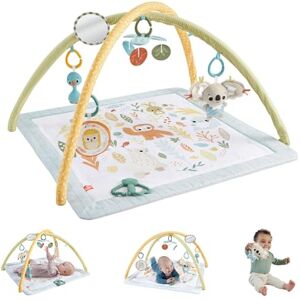 Fisher-Price Baby Playmat Simply Senses Newborn Gym with Mobile & Sensory Activity Toys for Developmental Play Ages 0+ Months, JMN74 Fisher-Price Baby Playmat Simply Senses Newborn Gym with Mobile & Sensory Activity Toys for Developmental Play Ages 0+ Months, JMN74