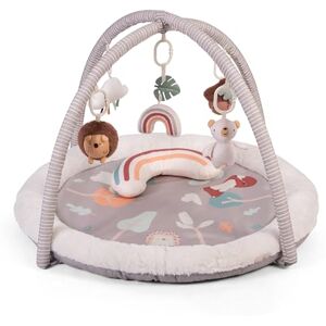 Red Kite Play Gym Padded Play Gym with Hanging Toys & Tummy Time Mirror (Woodland Walks) Red Kite Play Gym Padded Play Gym with Hanging Toys & Tummy Time Mirror (Woodland Walks)