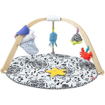 Melissa & Doug Ocean Easy-Fold Play Gym Developmental Toy for Infants, Reversible Mat, 5 Soft Toys, Birth to 9 Months Melissa & Doug Ocean Easy-Fold Play Gym Developmental Toy for Infants, Reversible Mat, 5 Soft Toys, Birth to 9 Months