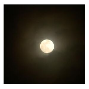 Doina, Martin NEW PHYSICS XXII CENTURY: Original New Paradigm (The Oscillatory Field Theory) Doina, Martin NEW PHYSICS XXII CENTURY: Original New Paradigm (The Oscillatory Field Theory)