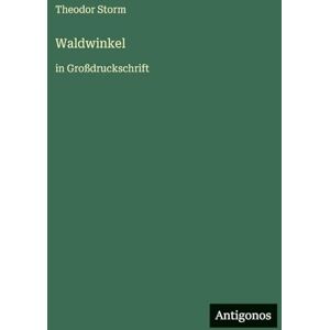 Storm, Theodor Waldwinkel: in Großdruckschrift Storm, Theodor Waldwinkel: in Großdruckschrift