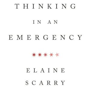 Elaine Scarry Thinking in an Emergency (Amnesty International Global Ethics Series) (Norton Global Ethics Series): 0 Elaine Scarry Thinking in an Emergency (Amnesty International Global Ethics Series) (Norton Global Ethics Series): 0