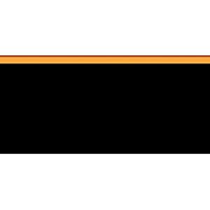 Golden, Bruce The Beach Boys: Southern California Pastoral, Revised Edition: 1 (Woodstock) Golden, Bruce The Beach Boys: Southern California Pastoral, Revised Edition: 1 (Woodstock)