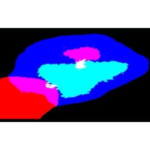 Jackson THE THIRD EYE ATLAS: w/ FORMER A.I. (LUXURY DATA) Jackson THE THIRD EYE ATLAS: w/ FORMER A.I. (LUXURY DATA)