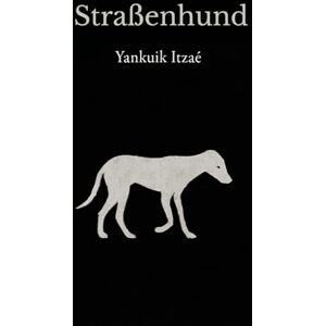 Itzaé, Yankuik Straßenhund: urbaner Roman des Existenzialismus, des schonungslosen Realismus und der dunklen Fiktion Itzaé, Yankuik Straßenhund: urbaner Roman des Existenzialismus, des schonungslosen Realismus und der dunklen Fiktion