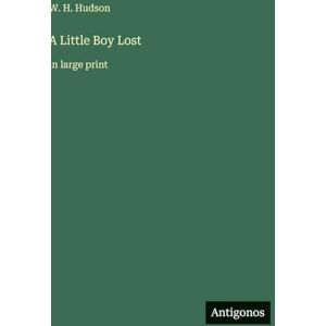 Hudson, W H A Little Boy Lost: in large print Hudson, W H A Little Boy Lost: in large print