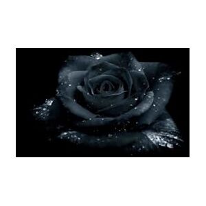 Johnson, mr priestly Aaron Dark passions: when being friendly goes too far Johnson, mr priestly Aaron Dark passions: when being friendly goes too far