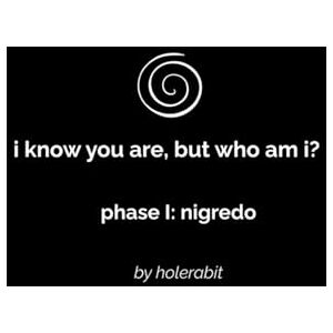 rabit, hole i know you are, but who am i?: a soul circuitry workbook — phase I: nigredo rabit, hole i know you are, but who am i?: a soul circuitry workbook — phase I: nigredo