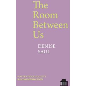 Denise Saul The Room Between Us (Pavilion Poetry) Denise Saul The Room Between Us (Pavilion Poetry)