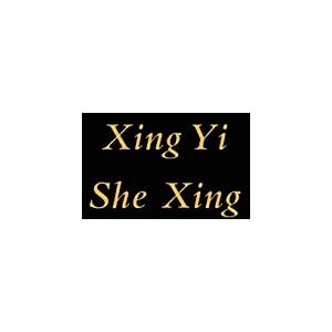 G B Xing Yi She Xing: Snake G B Xing Yi She Xing: Snake
