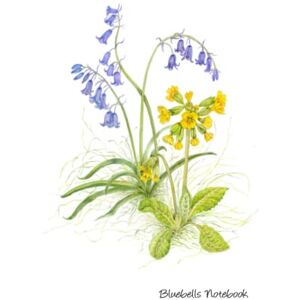 Press, Amazing Watercolor Bluebells Notebook: Lined Notebook Journal 120 Pages 6X9", Original Watercolour Flowers Painting Notebook. The Perfect Gift for Mum, Girl, Daughter, Teacher or Students Press, Amazing Watercolor Bluebells Notebook: Lined Notebook Journal 120 Pages 6X9", Original Watercolour Flowers Painting Notebook. The Perfect Gift for Mum, Girl, Daughter, Teacher or Students