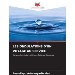 Adesanya-Davies, Funmilayo Les Ondulations d'Un Voyage Au Service: Compendium du livre d'Ibrahim Badamasi Babangida Adesanya-Davies, Funmilayo Les Ondulations d'Un Voyage Au Service: Compendium du livre d'Ibrahim Badamasi Babangida