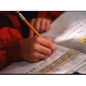 Smales, Anthony Bridging the Gap: Your Comprehensive Guide to B1 Dutch Smales, Anthony Bridging the Gap: Your Comprehensive Guide to B1 Dutch