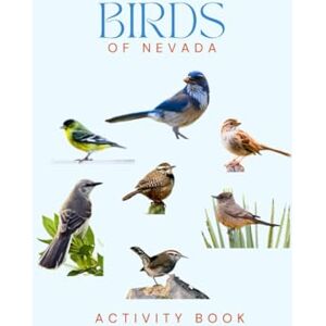Doon, Ms Rey Birds of Nevada Activity Book: A Young Explorer's Field Guide to the Backyard Birds of Nevada (Nevada Nature Explorer Series) Doon, Ms Rey Birds of Nevada Activity Book: A Young Explorer's Field Guide to the Backyard Birds of Nevada (Nevada Nature Explorer Series)