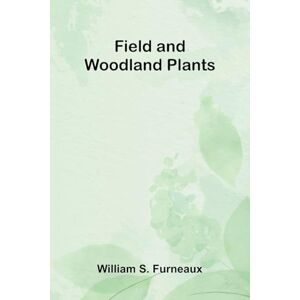 S Furneaux, William The Formation of Christendom (Volume II) (Edition1) S Furneaux, William The Formation of Christendom (Volume II) (Edition1)