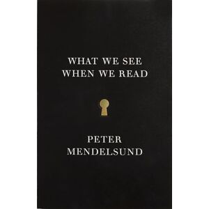 Peter Mendelsund What We See When We Read (Vintage Original): A Phenomenology Peter Mendelsund What We See When We Read (Vintage Original): A Phenomenology