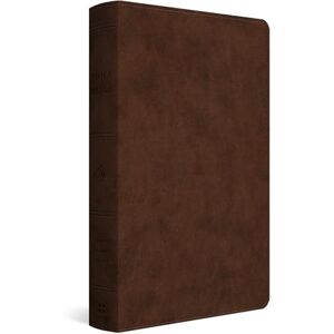 ESV Holy Bible: Dyslexia-Friendly Edition (TruTone, Brown) ESV Holy Bible: Dyslexia-Friendly Edition (TruTone, Brown)