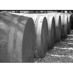 Ocampo Salgado, Elizabeth Recetario de familia 2025 Ocampo Salgado, Elizabeth Recetario de familia 2025