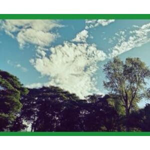 G.R., Mateo B'ajlom ii Nkotz'i'j Publications' A Concise Lenca Grammar G.R., Mateo B'ajlom ii Nkotz'i'j Publications' A Concise Lenca Grammar