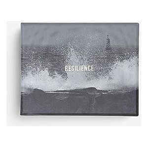 The School of Life Resilience Cards: become more confident in the face of adversity The School of Life Resilience Cards: become more confident in the face of adversity