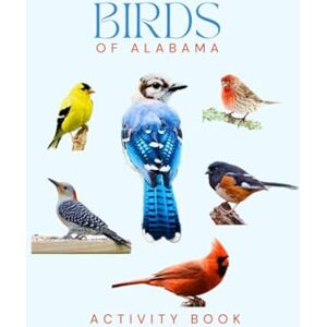 Doon, Ms Rey Birds of Alabama Activity Book: A Young Explorer's Field Guide to the Backyard Birds of Alabama (Alabama Nature Explorer Series) Doon, Ms Rey Birds of Alabama Activity Book: A Young Explorer's Field Guide to the Backyard Birds of Alabama (Alabama Nature Explorer Series)