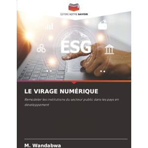 Wandabwa, M. LE VIRAGE NUMÉRIQUE: Remodeler les institutions du secteur public dans les pays en développement Wandabwa, M. LE VIRAGE NUMÉRIQUE: Remodeler les institutions du secteur public dans les pays en développement