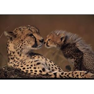 K., Mr. Solanki Divyeshkumar Sketch & Create: A Blank Drawing Book for Kids, Teens, and Beginners to Practice Sketching, Doodling, and Creative Expression K., Mr. Solanki Divyeshkumar Sketch & Create: A Blank Drawing Book for Kids, Teens, and Beginners to Practice Sketching, Doodling, and Creative Expression