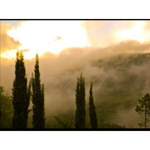 Britt, Miss Kaygan K Driving Through Fire~: Embrace the power within and let the healing journey begin! (Fireside Diaries) Britt, Miss Kaygan K Driving Through Fire~: Embrace the power within and let the healing journey begin! (Fireside Diaries)