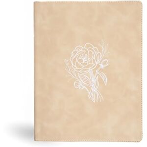 CSB Bibles by Holman CSB Illustrator’S Notetaking Bible, Large Print Edition CSB Bibles by Holman CSB Illustrator’S Notetaking Bible, Large Print Edition