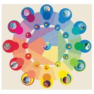 Gabriel, Natureza The Neurobiology of Connection Paperback: Re-Wilding the Deep Nervous System for Wellbeing (The Autonomics Trilogy) Gabriel, Natureza The Neurobiology of Connection Paperback: Re-Wilding the Deep Nervous System for Wellbeing (The Autonomics Trilogy)