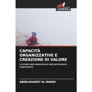El-Wardi, Abdelouaret Capacità Organizzative E Creazione Di Valore: Un'analisi delle determinanti della performance organizzativa El-Wardi, Abdelouaret Capacità Organizzative E Creazione Di Valore: Un'analisi delle determinanti della performance organizzativa