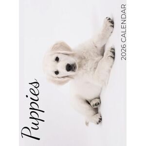 Patrick, B Puppies 2026 Calendar Patrick, B Puppies 2026 Calendar