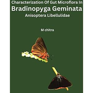 Danilo Promotions LTD House Of The Dragon 2024 Calendar, Month To View Square Wall Calendar, Official Product Danilo Promotions LTD House Of The Dragon 2024 Calendar, Month To View Square Wall Calendar, Official Product