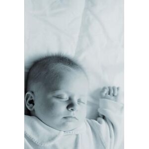 Denevi, Pablo El ARTISTA DEL FIN DEL MUNDO": "el concurso Denevi, Pablo El ARTISTA DEL FIN DEL MUNDO": "el concurso