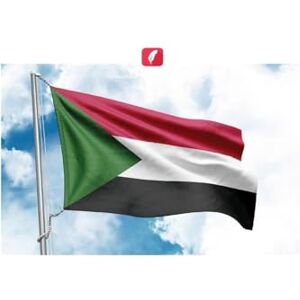 Sayed, Hoiam Efeito da irradiação gama Sayed, Hoiam Efeito da irradiação gama