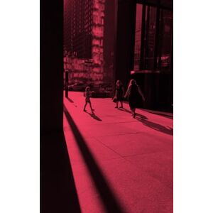 Lee Some August (In Sum) Lee Some August (In Sum)