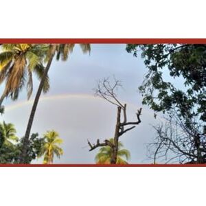 G.R., Mateo B'ajlom ii Nkotz'i'j Publications' A Concise Bora Grammar G.R., Mateo B'ajlom ii Nkotz'i'j Publications' A Concise Bora Grammar