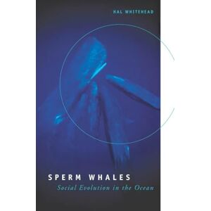Whitehead, Hal Sperm Whales: Social Evolution in the Ocean Whitehead, Hal Sperm Whales: Social Evolution in the Ocean