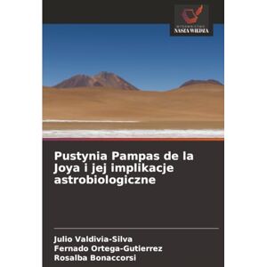 Silva Pustynia Pampas de la Joya i jej implikacje astrobiologiczne Silva Pustynia Pampas de la Joya i jej implikacje astrobiologiczne