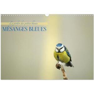 AUPEIX JEROME MESANGES BLEUES CALENDRIER MURAL 2027 DI: APPORTEZ UNE TOUCHE DE NATURE AUPEIX JEROME MESANGES BLEUES CALENDRIER MURAL 2027 DI: APPORTEZ UNE TOUCHE DE NATURE