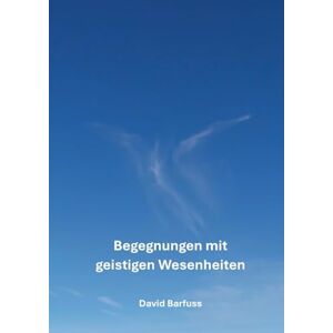 Barfuss, David Begegnungen mit geistigen Wesenheiten: Ein spannendes Buch voller interessanter Geschichten und lehrreichen Erkenntnissen über die geistige Welt Barfuss, David Begegnungen mit geistigen Wesenheiten: Ein spannendes Buch voller interessanter Geschichten und lehrreichen Erkenntnissen über die geistige Welt