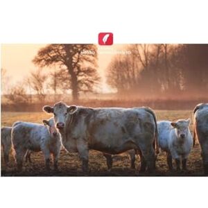 Ayaaba, Esther Riscos potenciais para a saúde enfrentados pelos trabalhadores do setor de resíduos sólidos: Medidas de saúde e segurança no trabalho Ayaaba, Esther Riscos potenciais para a saúde enfrentados pelos trabalhadores do setor de resíduos sólidos: Medidas de saúde e segurança no trabalho