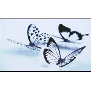 Marletta STRUMENTI DI COMUNICAZIONE: L'Arte della Comunicazione: Guida Pratica alla PNL e all'Influenza Etica per il Successo Personale e Professionale. (CRESCITA PROFESSIONALE) Marletta STRUMENTI DI COMUNICAZIONE: L'Arte della Comunicazione: Guida Pratica alla PNL e all'Influenza Etica per il Successo Personale e Professionale. (CRESCITA PROFESSIONALE)