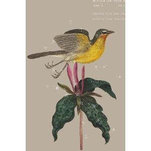 安东尼奥-洛博-安图内斯 沿着流过的河水 安东尼奥-洛博-安图内斯 沿着流过的河水