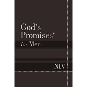 Countryman God's Promises for Men NIV Softcover: New International Version Countryman God's Promises for Men NIV Softcover: New International Version