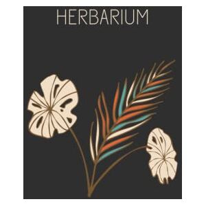 Jones, Alina Herbarium: A Book to Preserve Classify and Collect Pressed Flowers and Plants for 100 Dried Plants Hardcover Jones, Alina Herbarium: A Book to Preserve Classify and Collect Pressed Flowers and Plants for 100 Dried Plants Hardcover